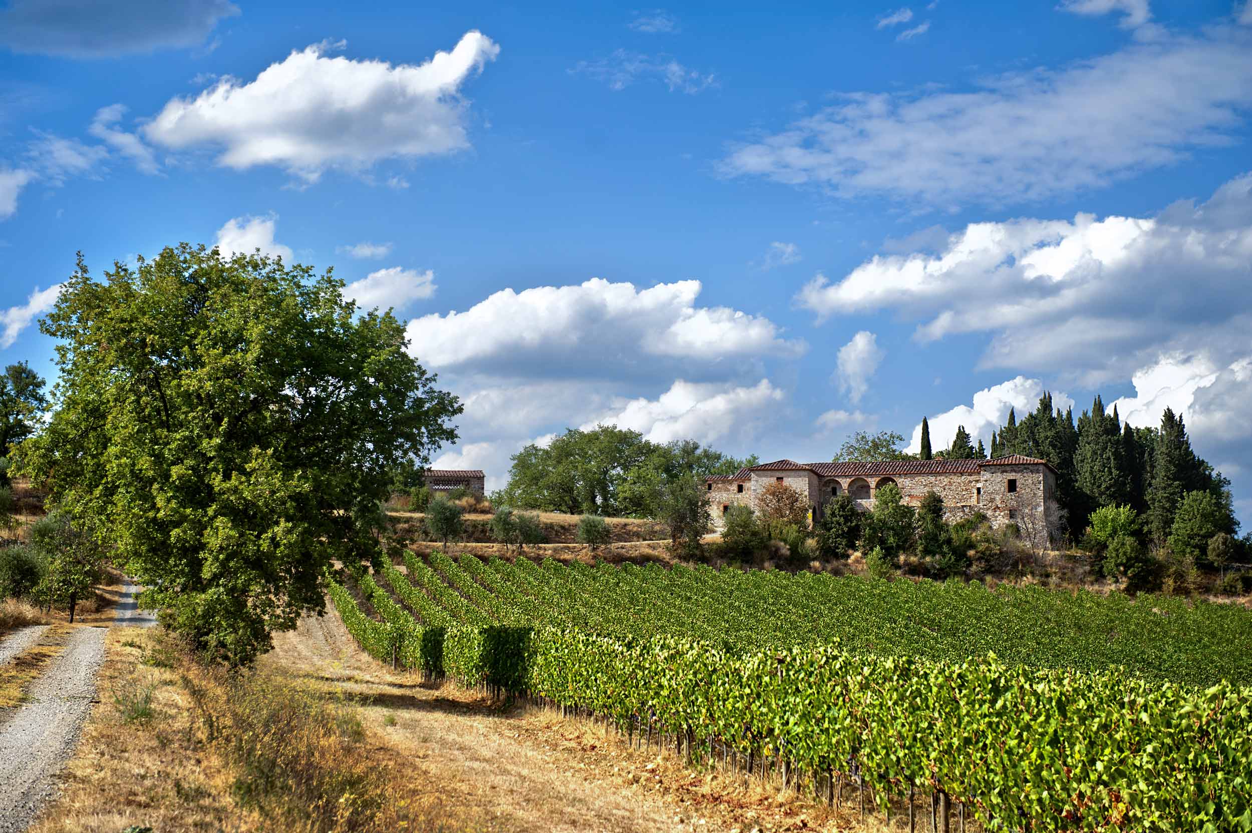 Consorzio Chianti Colli Senesi