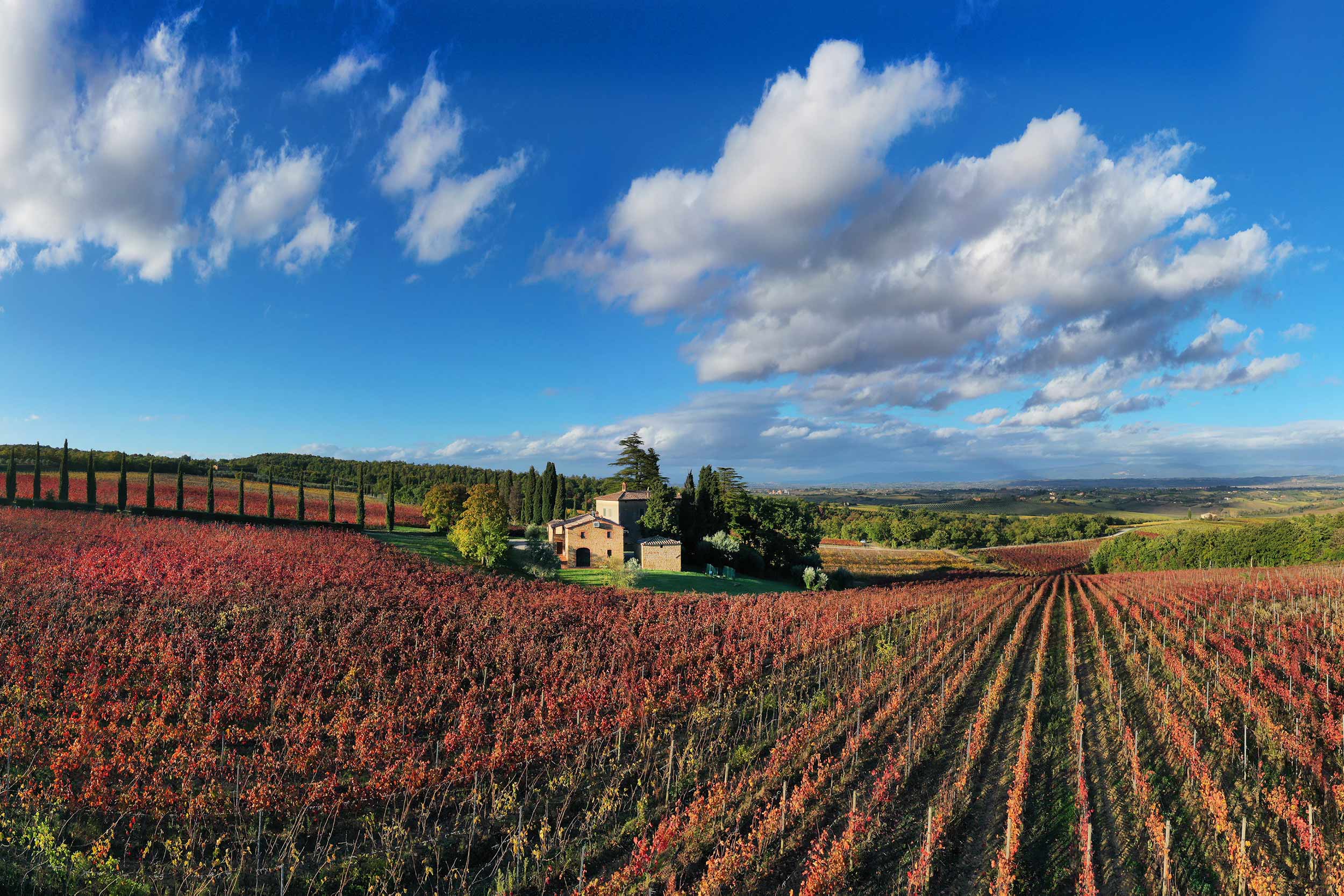 Fattoria del Cerro Montepulciano Siena