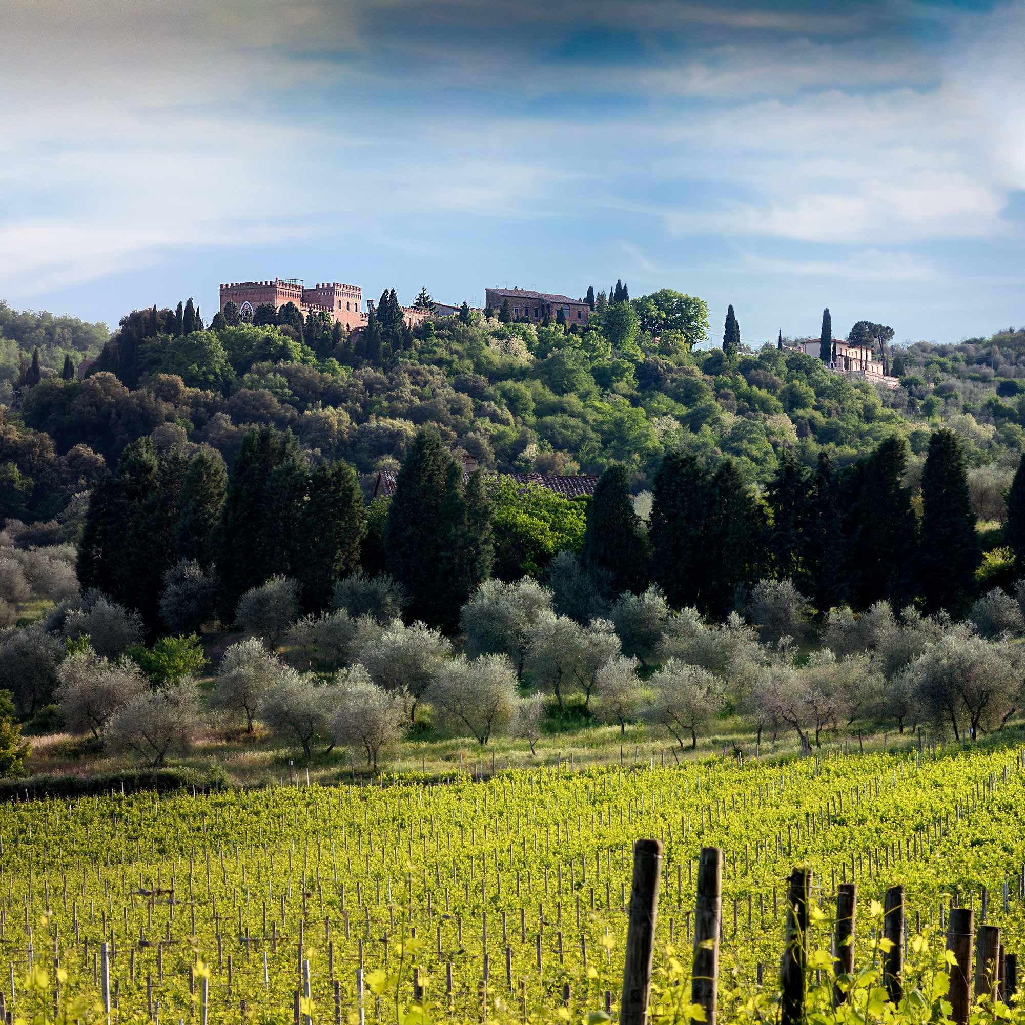 castello-di-farnetella-sinalunga-siena