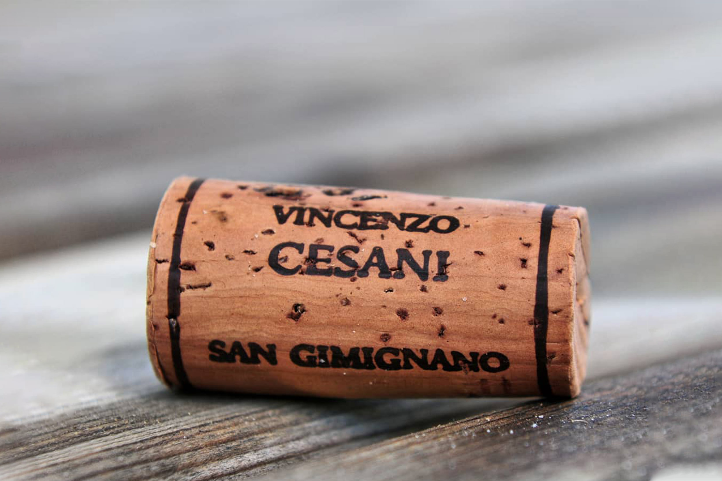 Cesani Winery SanGimignano Siena