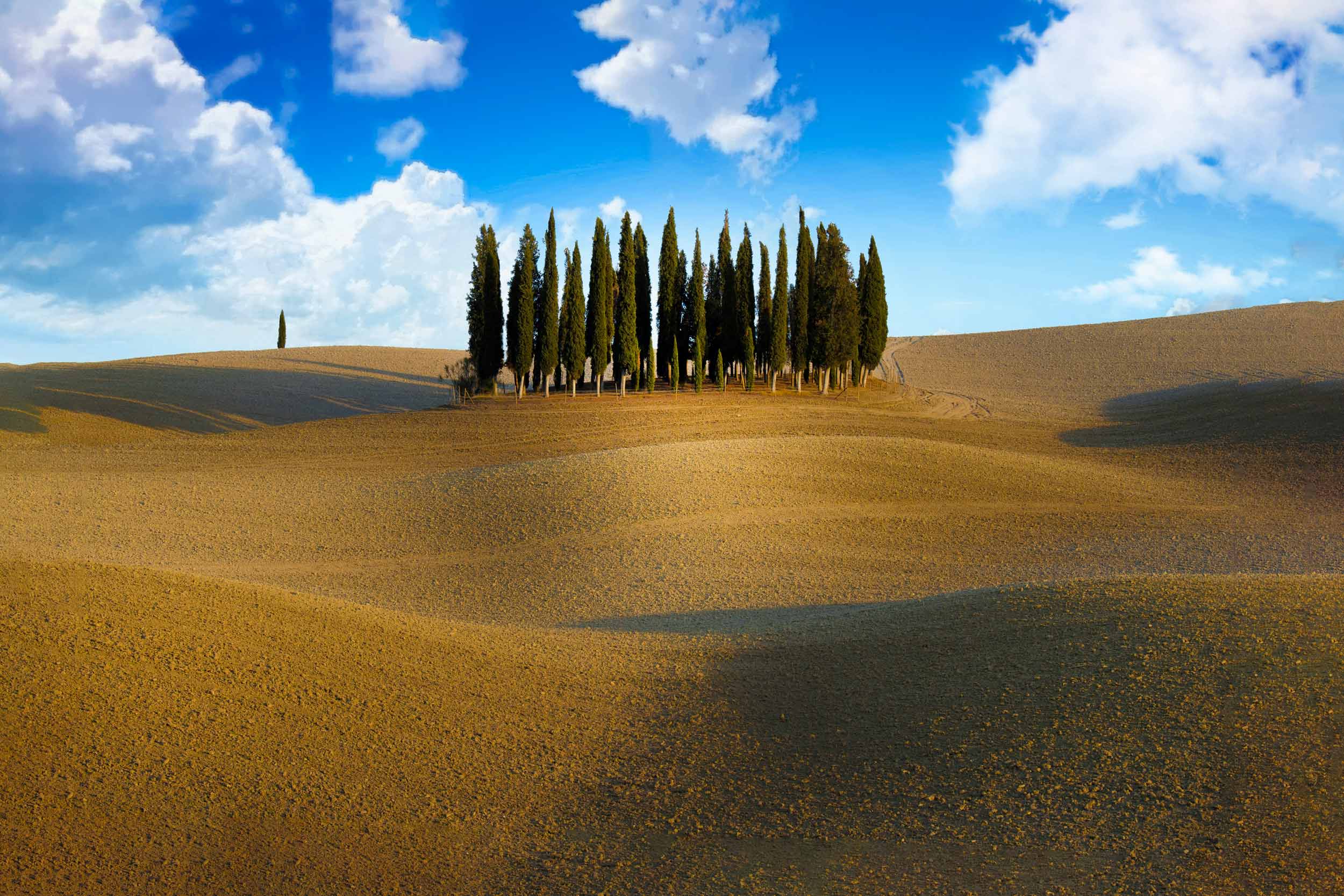 cipressi val d'orcia toscana