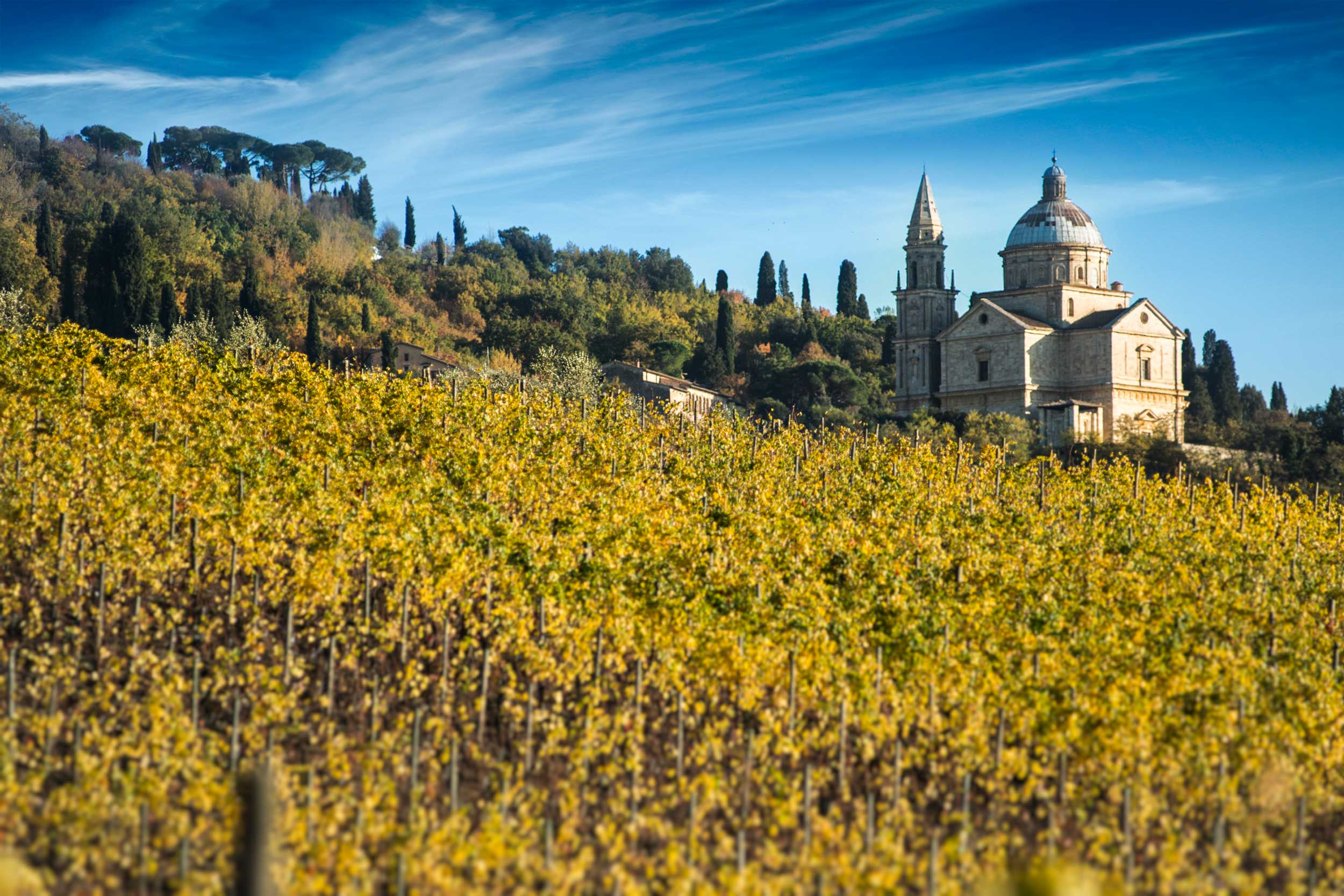 Montepulciano Toscana