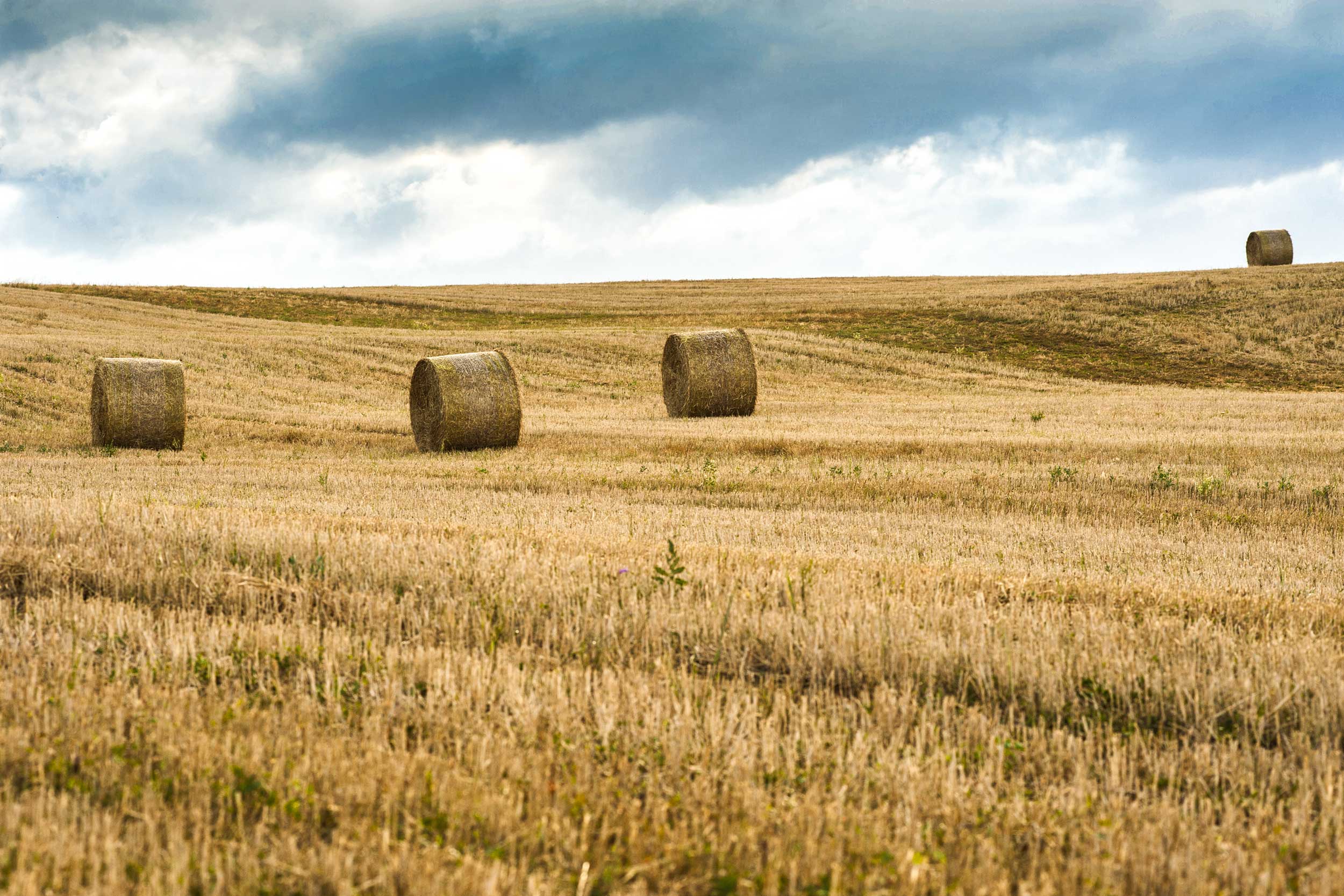 Val di Chiana Toscana