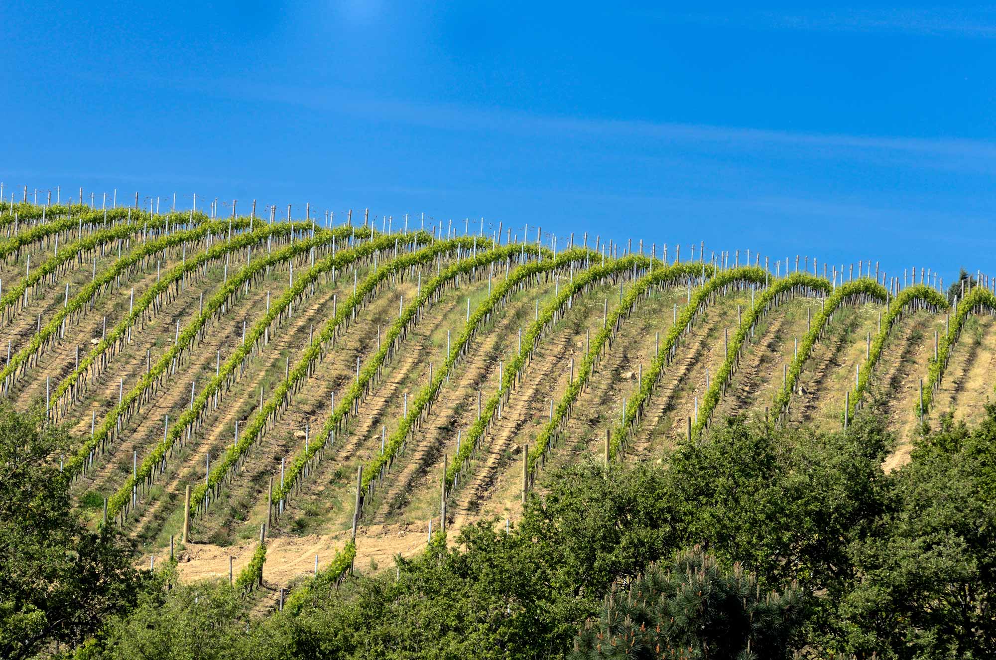 Castello di Farnetella Sinalunga Siena