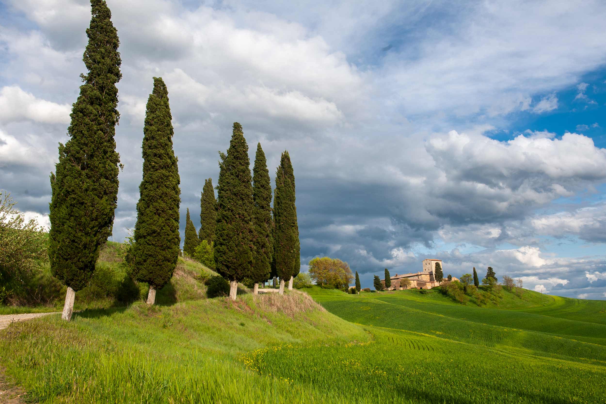 Ville di Corsano Crete Senesi Toscana